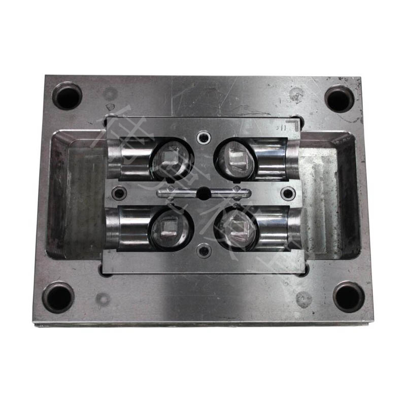 CPVC mold-1
